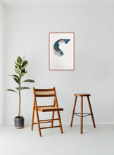 Load image into Gallery viewer, Roaring Fork